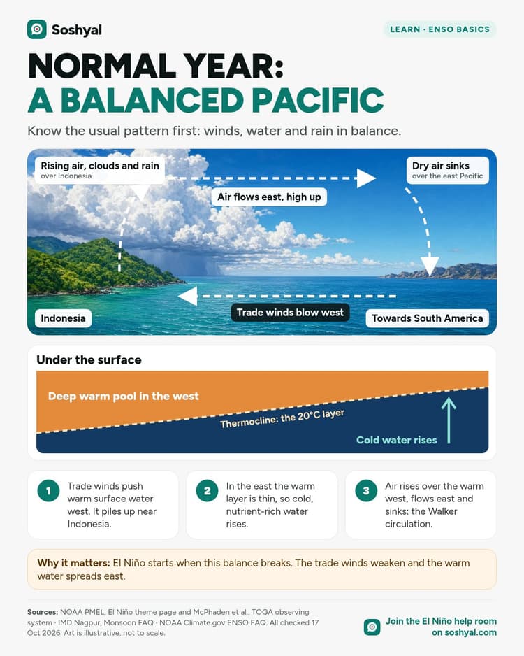 Painted Pacific panorama with arrows showing rising air over Indonesia, air flowing east high up, sinking dry air in the east and trade winds blowing west, plus a cross-section of a deep warm pool in the west and cold water rising in the east.