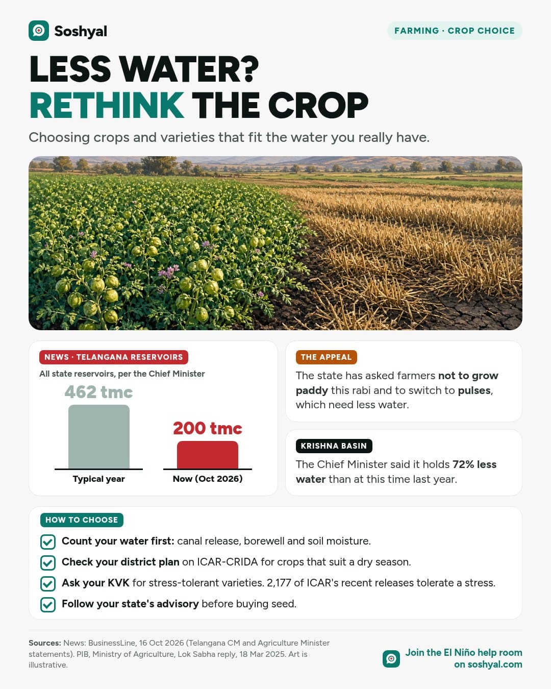 A painted field split between green pulse plants and dry paddy stubble on cracked soil, above a bar chart from news reports of Telangana reservoir storage, 462 tmc in a typical year versus 200 tmc now, cards on the state's appeal to switch from paddy to pulses and the Krishna basin shortfall, and a four-point checklist for choosing crops.