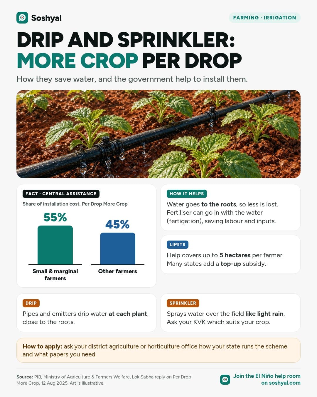 A painted close-up of drip irrigation pipes watering young plants in red soil with a sprinkler behind, above two bars showing central assistance under Per Drop More Crop: 55% of cost for small and marginal farmers and 45% for other farmers, with cards on how micro-irrigation helps, the 5-hectare limit, and drip versus sprinkler.