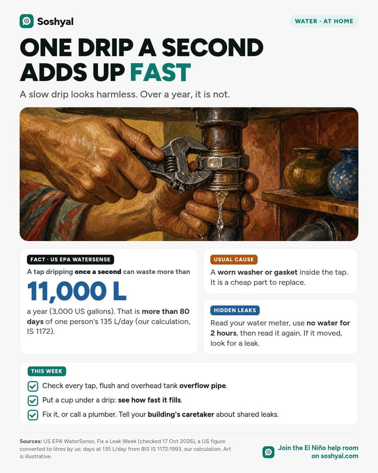 A painted close-up of a dripping tap with a wrench and a new washer nearby, above a card stating that a tap dripping once a second can waste more than 11,000 litres a year according to the US EPA, cards on worn washers and a two-hour meter test for hidden leaks, and a short leak checklist.