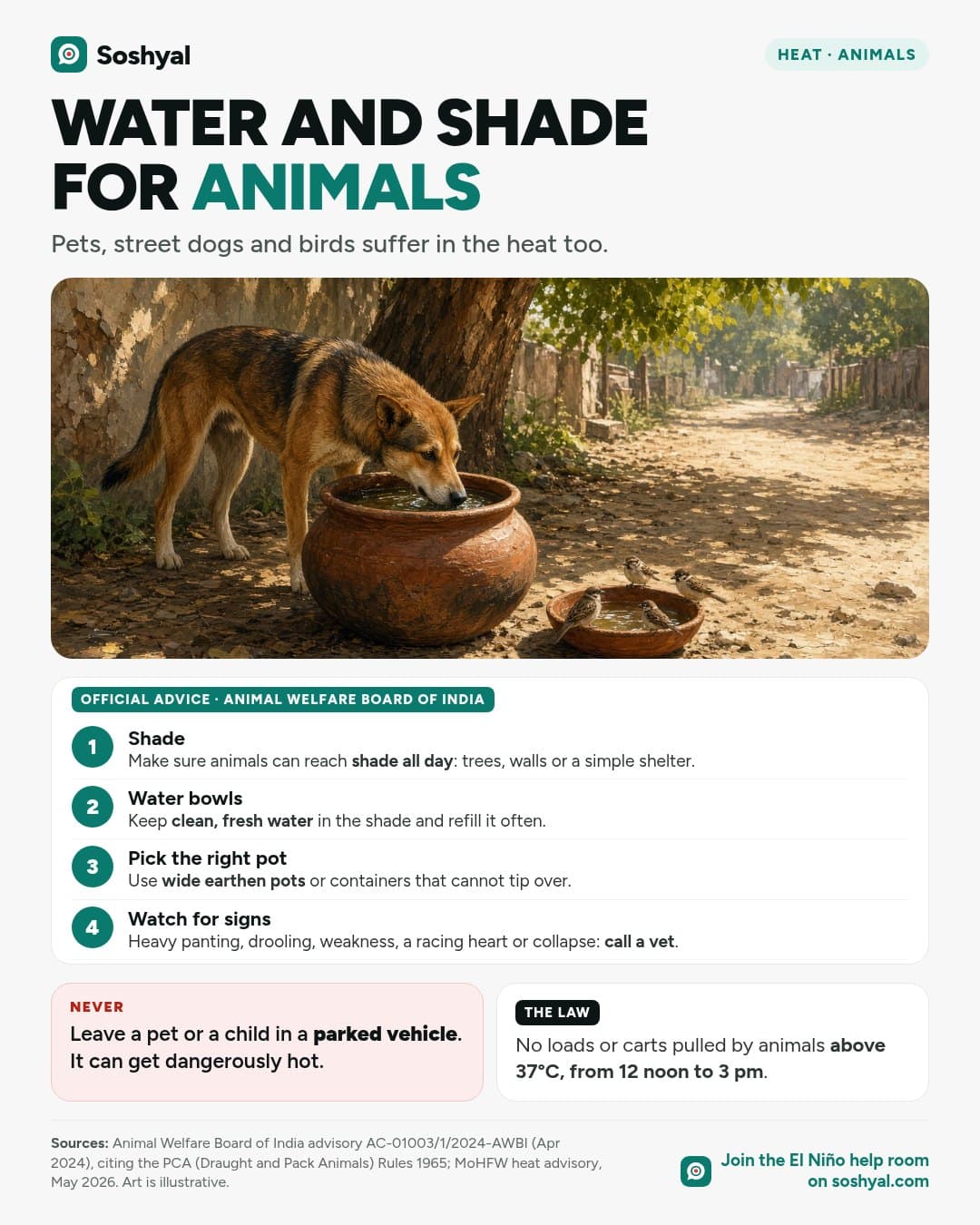 A painted street dog drinking from a wide clay pot in the shade of a tree, with sparrows at a shallow water dish nearby, above four numbered steps from the Animal Welfare Board of India: shade, fresh water bowls, wide pots that do not tip and watching for heat-stress signs, and cards warning never to leave pets in parked vehicles and on the legal limit for working animals.