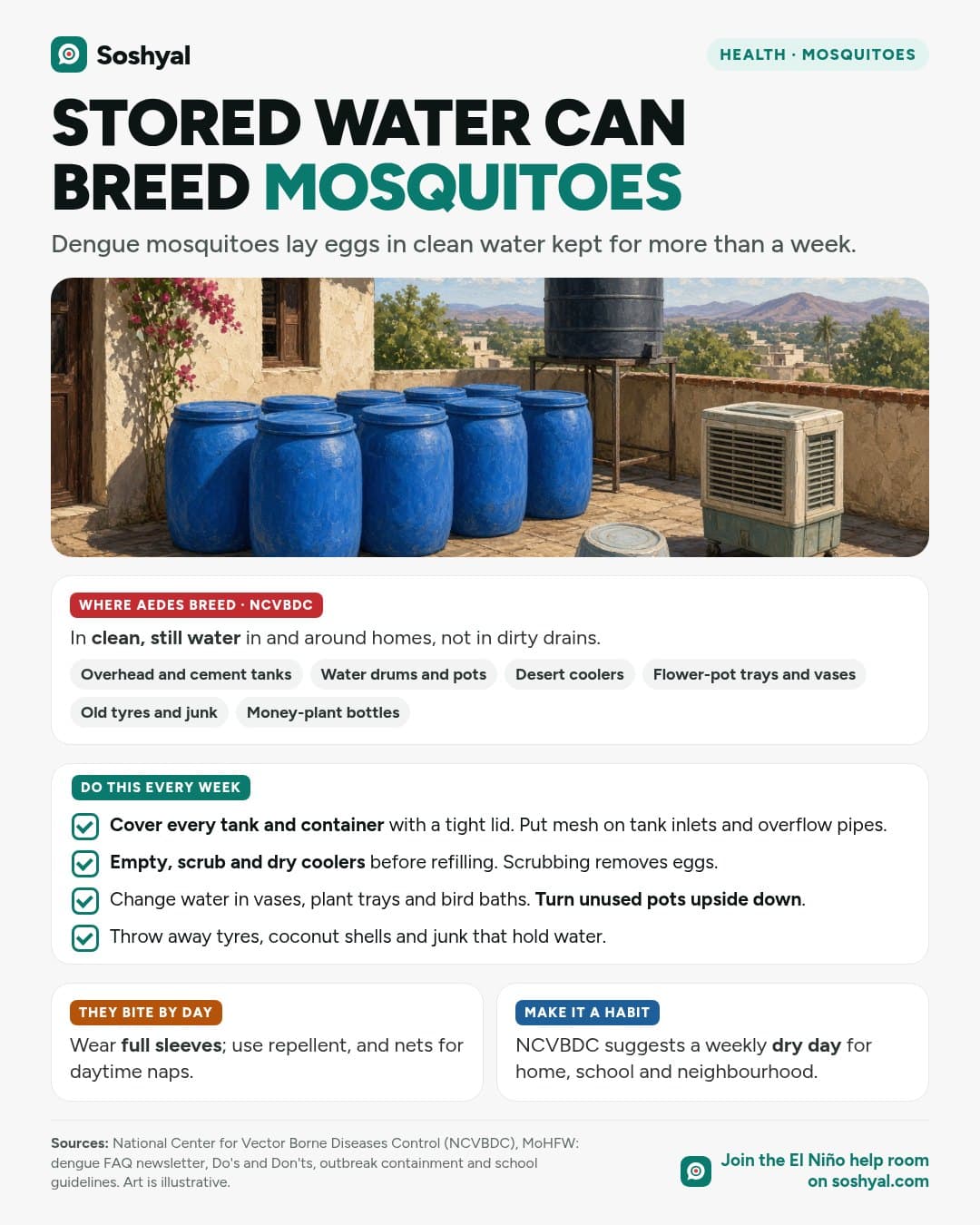 A painted terrace with blue water drums tightly closed with lids, a covered overhead tank, an upturned tub and a desert cooler, above a list of places dengue mosquitoes breed, a weekly checklist from NCVBDC to cover tanks, scrub coolers, change water in vases and remove junk, and cards on daytime bites and a weekly dry day.